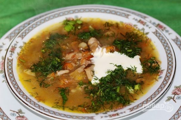 Грибные щи с квашеной капустой: лучшие рецепты приготовления