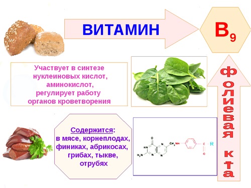 Корень шиповника - польза растения для лечения народными методами