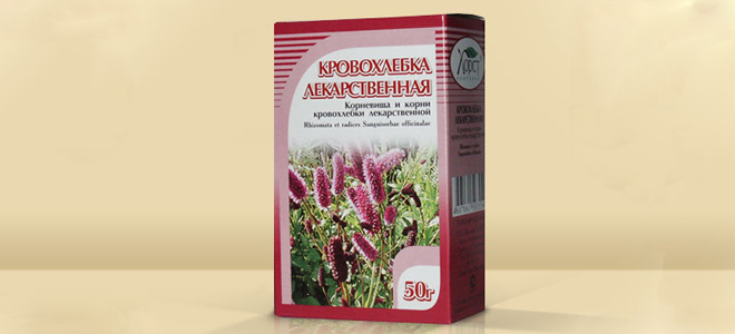 Кровохлебка