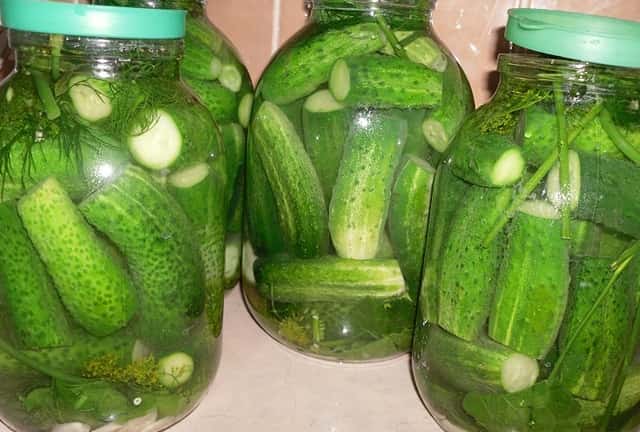 Соленые огурцы классический рецепт