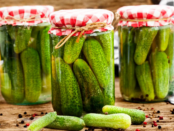 Самые вкусные рецепты маринованных огурцов на зиму