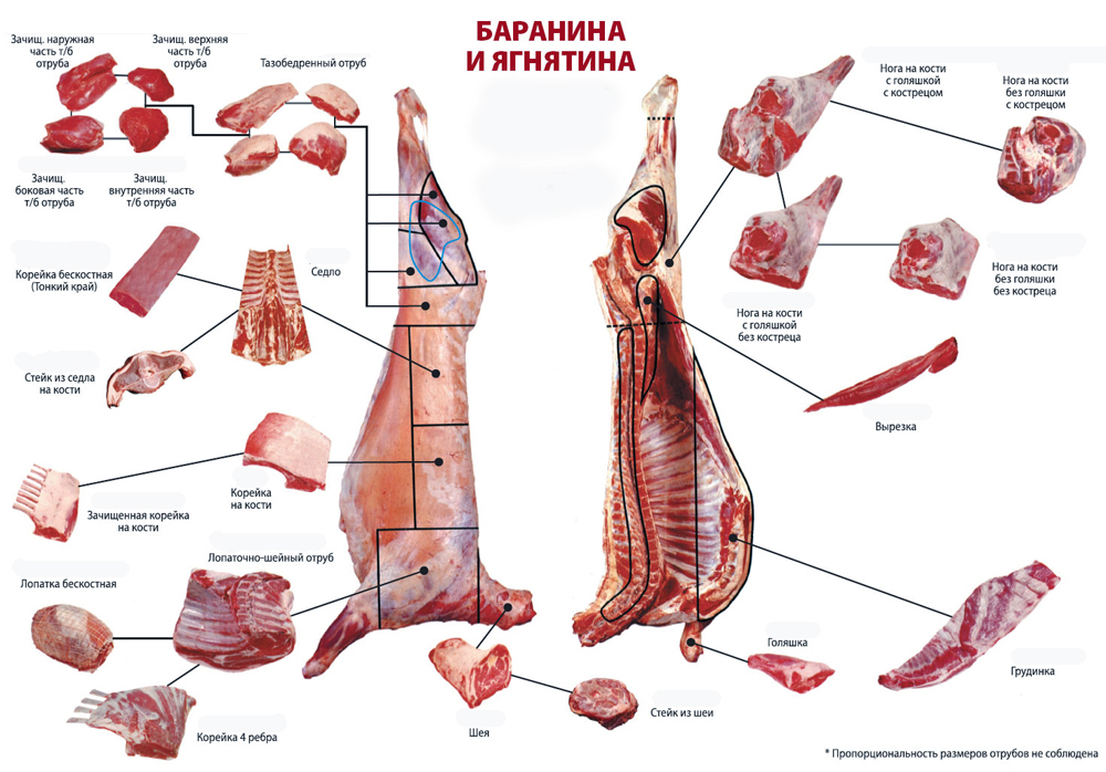 Готовим классический кавказский шашлык из баранин