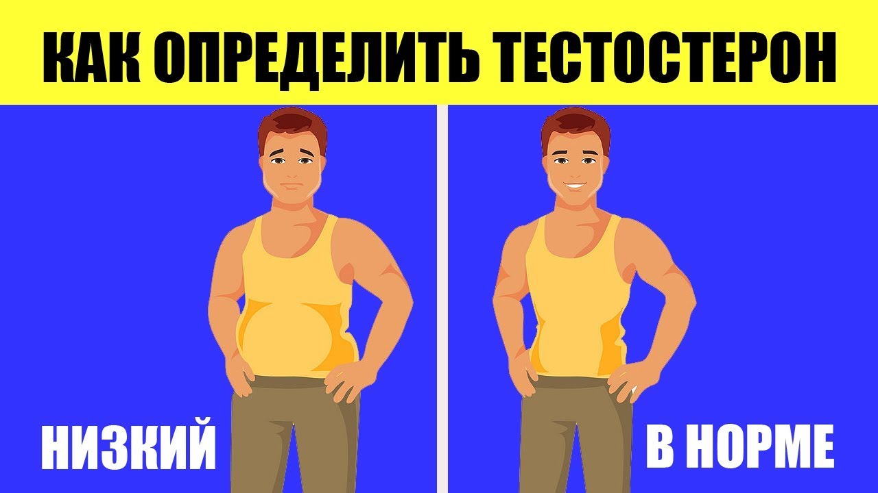 Сельдерей для здоровья мужчин с рецептами применения