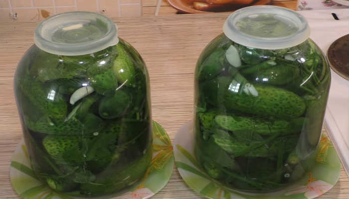 Соленые огурцы классический рецепт