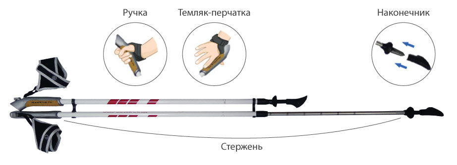 Виды и техника скандинавской ходьбы с пользой для здоровья