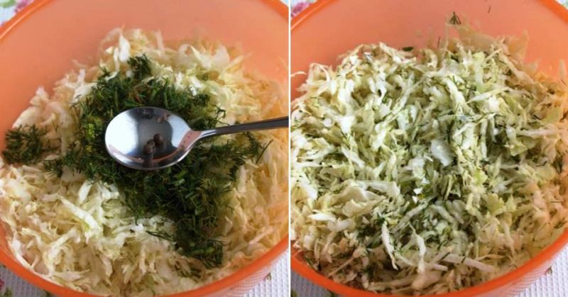 Быстрая капуста квашеная кусочками