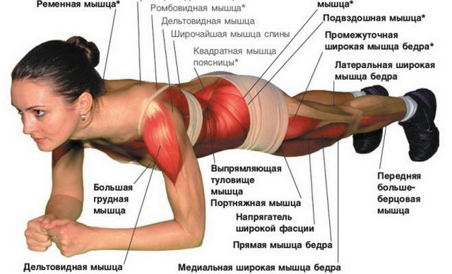Правила выполнения комплекса йоги для похудения, меры предосторожности