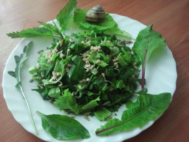 Салат из крапивы с яйцом и огурцом