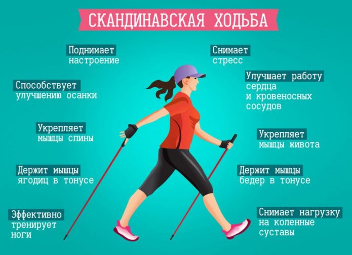 Виды и техника скандинавской ходьбы с пользой для здоровья
