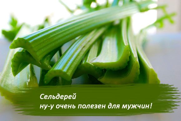 Сельдерей для здоровья мужчин с рецептами применения