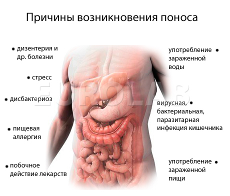 Золототысячник - описание, сбор и заготовка целебного отвара растения