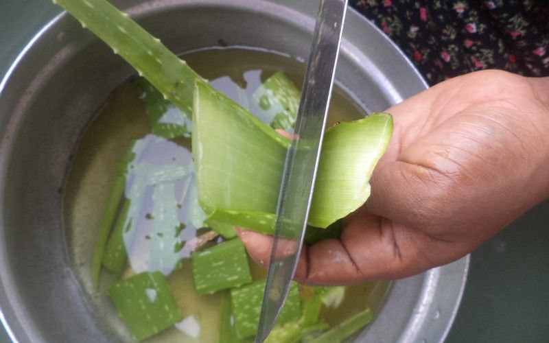 Польза настойки алоэ для организма, приготовление в домашних условиях