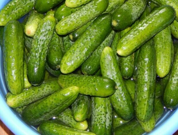 Болгарские маринованные огурцы