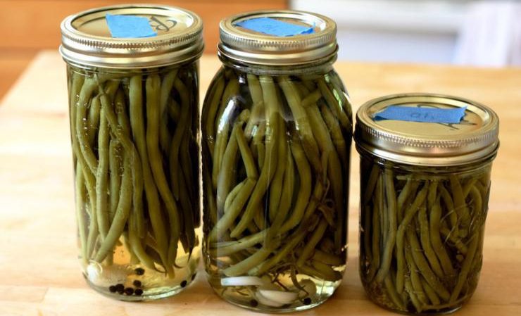 Фасоль маринованная (стручковая, спаржевая)
