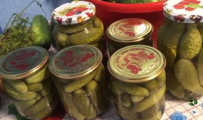 Болгарские маринованные огурцы