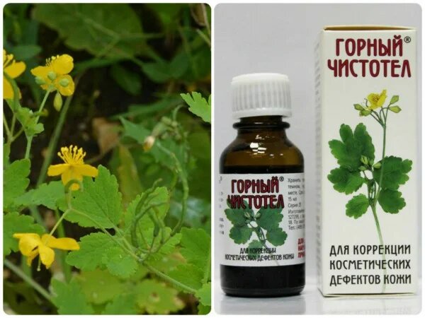 Горный чистотел - бальзам на основе экстракта чистотела для профилактики и лечения