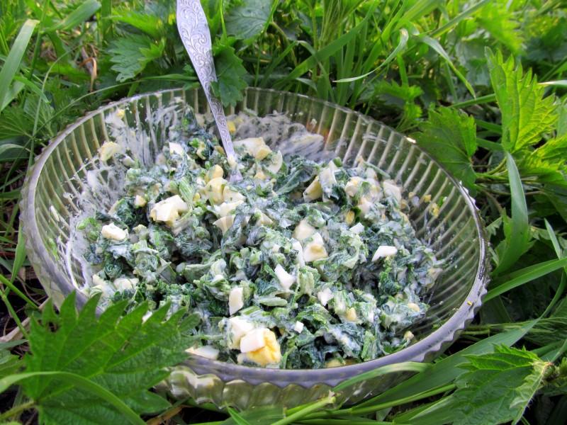 Салат из крапивы с яйцом и огурцом