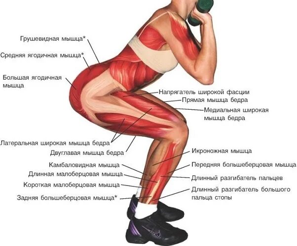Зарядка для похудения