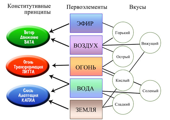 Описание образа жизни и питания питта доша