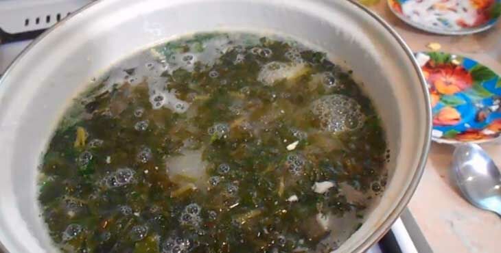 Как приготовить щи из щавеля на мясном бульоне
