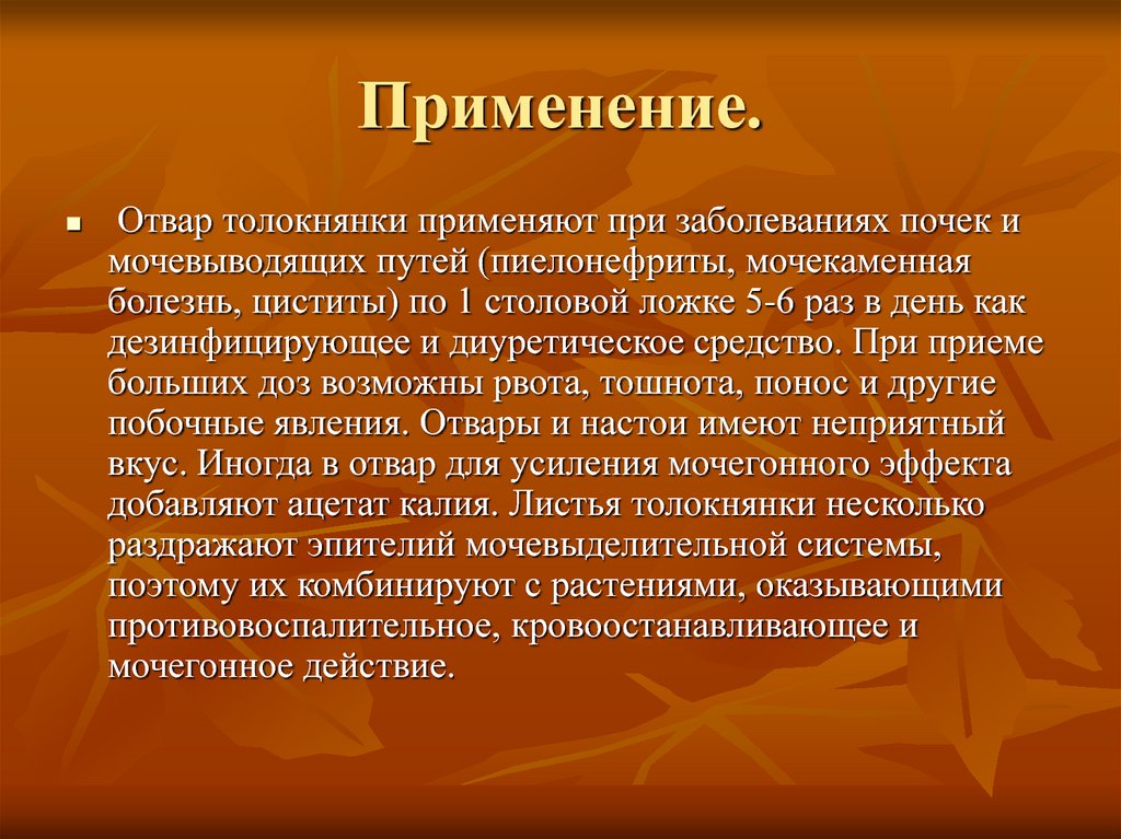 Толокнянка - состав и польза растения для организма
