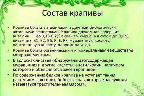 Майская крапива: лечим различные болезни и проводим профилактику