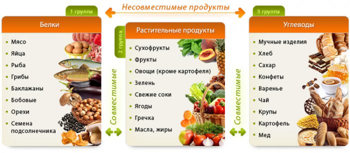 Выбор правильного питания для ЗОЖ – здорового образа жизни