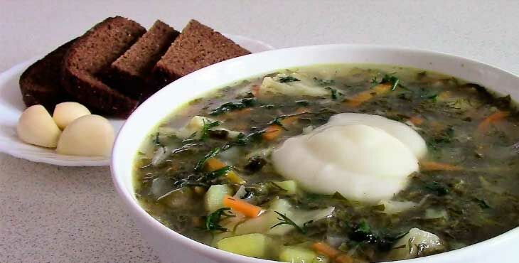 Как приготовить щи из щавеля на мясном бульоне