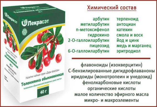 Толокнянка - состав и польза растения для организма