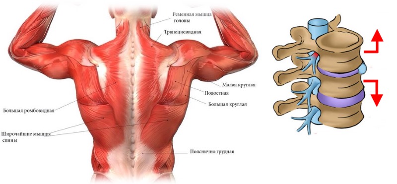 Упражнения и методики Шамиля Аляутдинова для лечения позвоночной грыжи