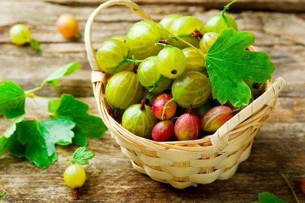 Варенье ассорти с крыжовником и черной