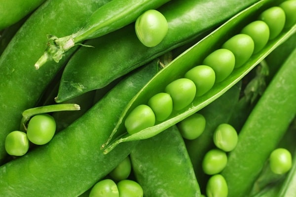 Польза вареного гороха и возможный вред продукта