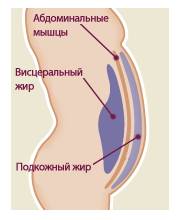Плоский живот