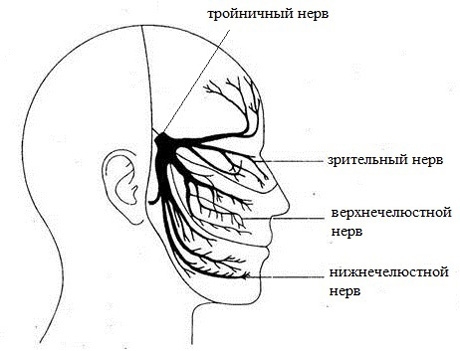 Тройничный нерв