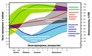 Оптимальная частота и интенсивность тренировок