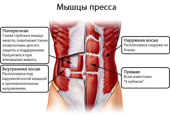Упражнение «Вакуум» для плоского живота Упражнение «Вакуум» для плоского живота