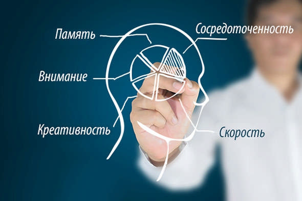 Руководство по ноотропам для чайников
