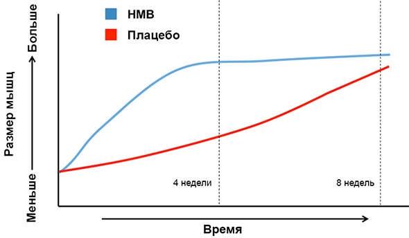 HMB
