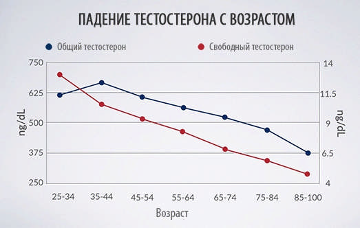 51 способ увеличения тестостерона (Часть 1)