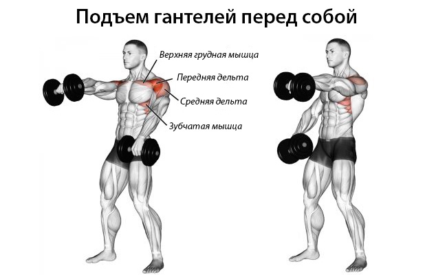 Советы по тренировке плечей