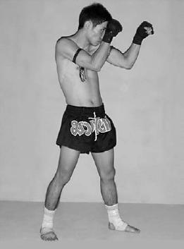 Положение ног, рук, туловища, плечей, головы в боевой стойка кикбоксера