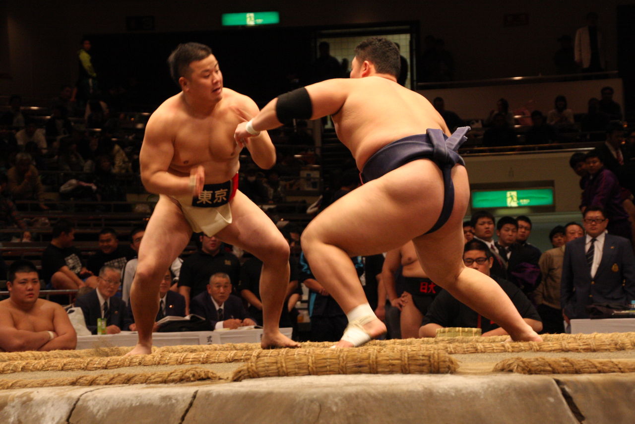 Словарь терминов сумо