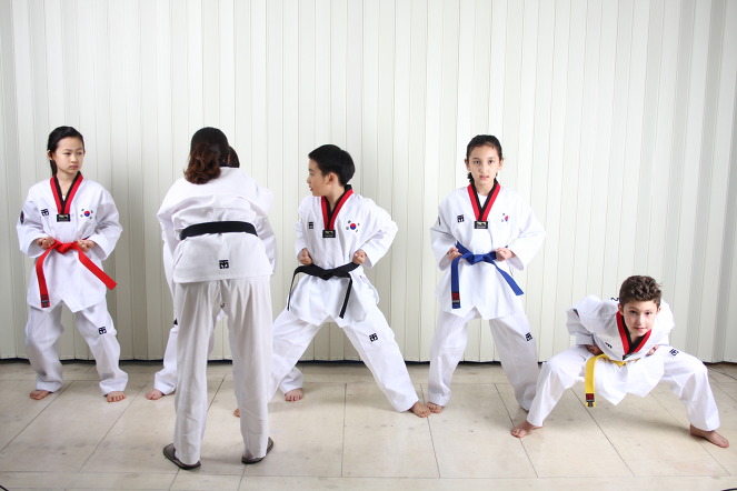 Словарь терминов тхэквондо