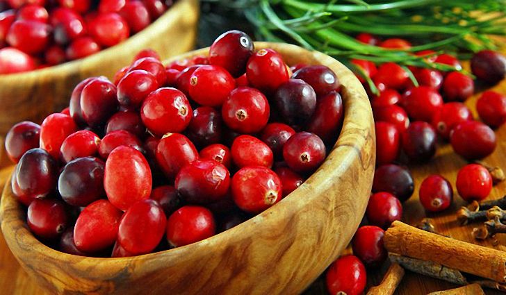 Мочегонное свойство клюквы Мочегонное свойство клюквы