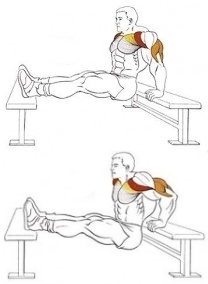 Упражнение на трицепс: отжимания в упоре сзади Упражнение на трицепс: отжимания в упоре сзади