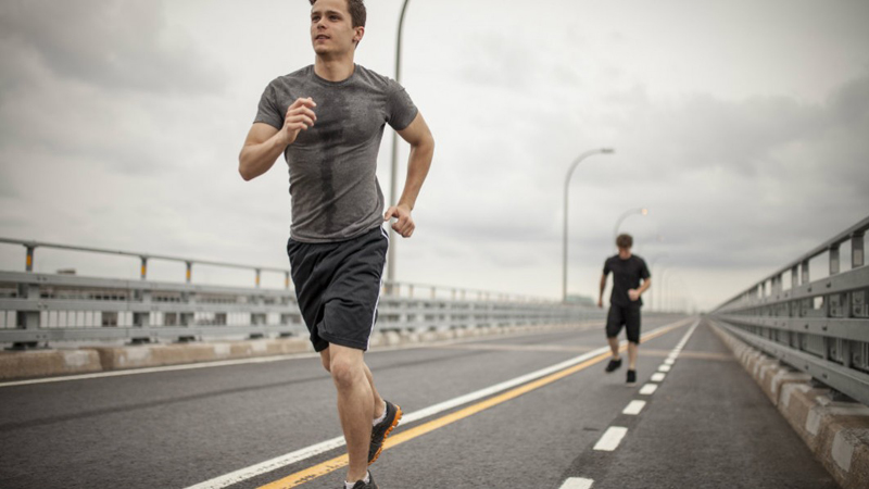 Метаболизм бегуна Метаболизм бегуна