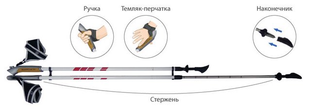 Палки для скандинавской ходьбы Палки для скандинавской ходьбы