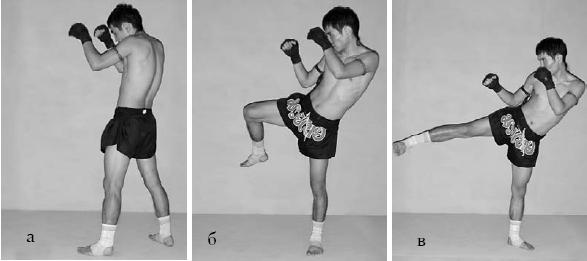 Ноги кикбоксин