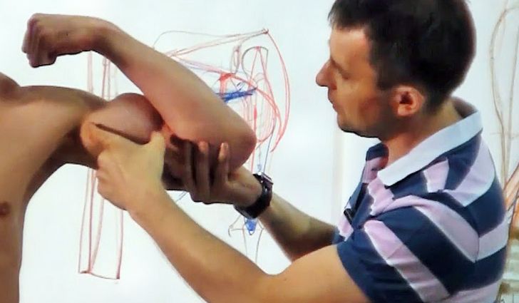 Какие стоит накачать мышцы рук Какие стоит накачать мышцы рук