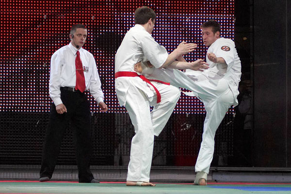 каратэ кекусинкай